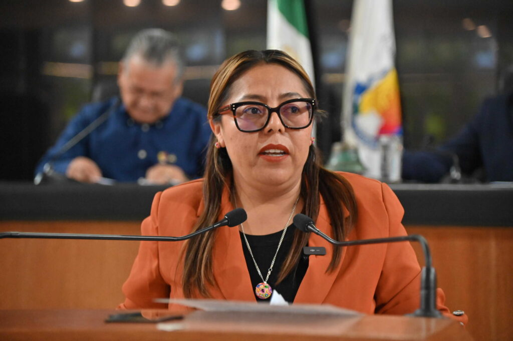 DIP TERESITA VALENTIN VAZQUEZ 260611 3