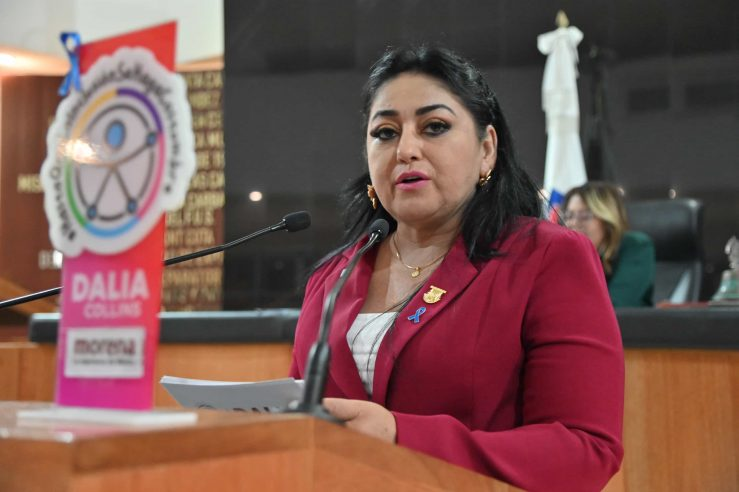 La diputada Dalia Collins Califica la Designación de los distritos 10 y 13 como un acto completamente discriminatorio 11 image